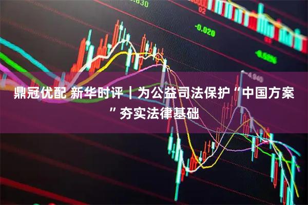 鼎冠优配 新华时评｜为公益司法保护“中国方案”夯实法律基础