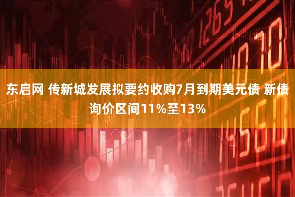 东启网 传新城发展拟要约收购7月到期美元债 新债询价区间11%至13%