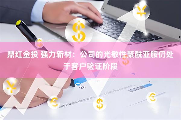 鼎红金投 强力新材：公司的光敏性聚酰亚胺仍处于客户验证阶段